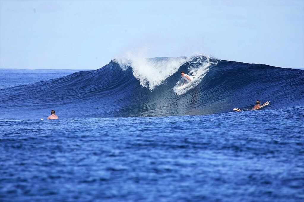 surf in Maldives